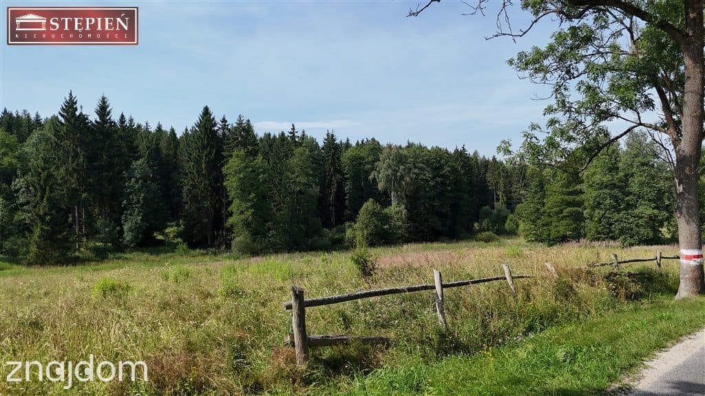 Działka pod Jaworem 80zł / 1mkw - zdjęcie 4