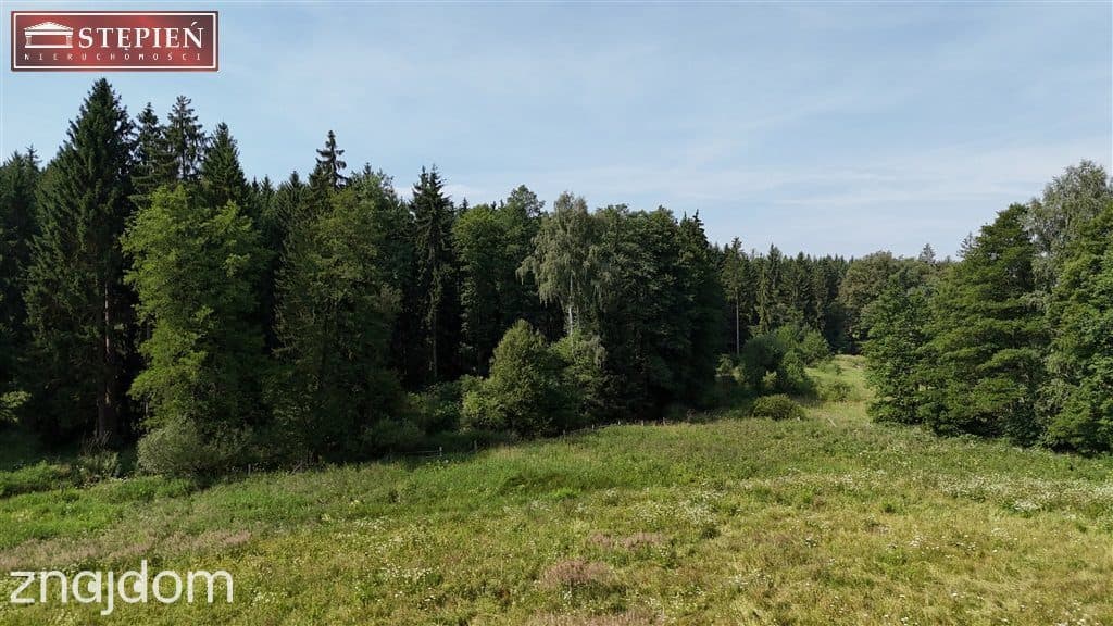 Działka pod Jaworem 80zł / 1mkw - zdjęcie 5