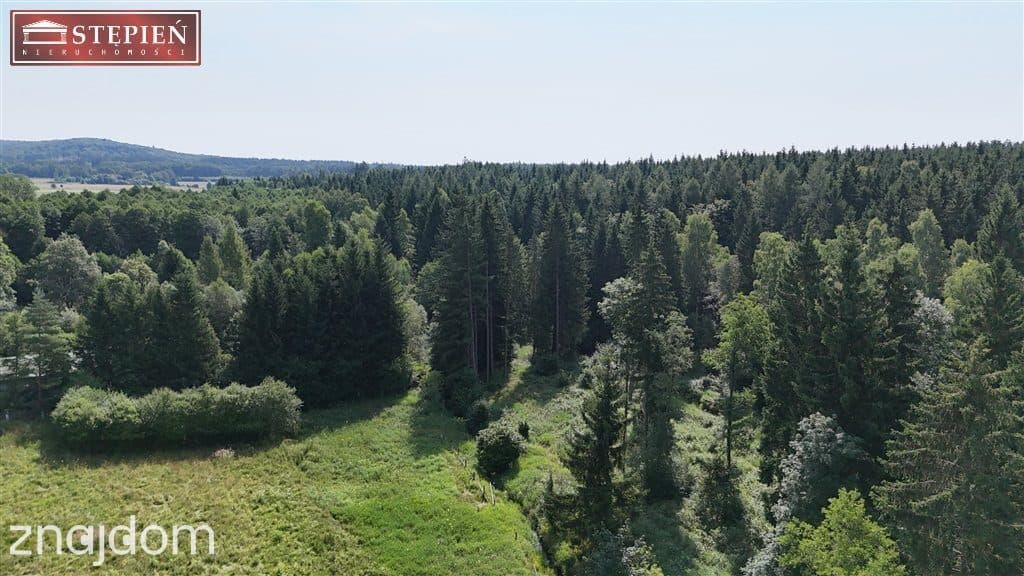 Działka pod Jaworem 80zł / 1mkw - zdjęcie 6