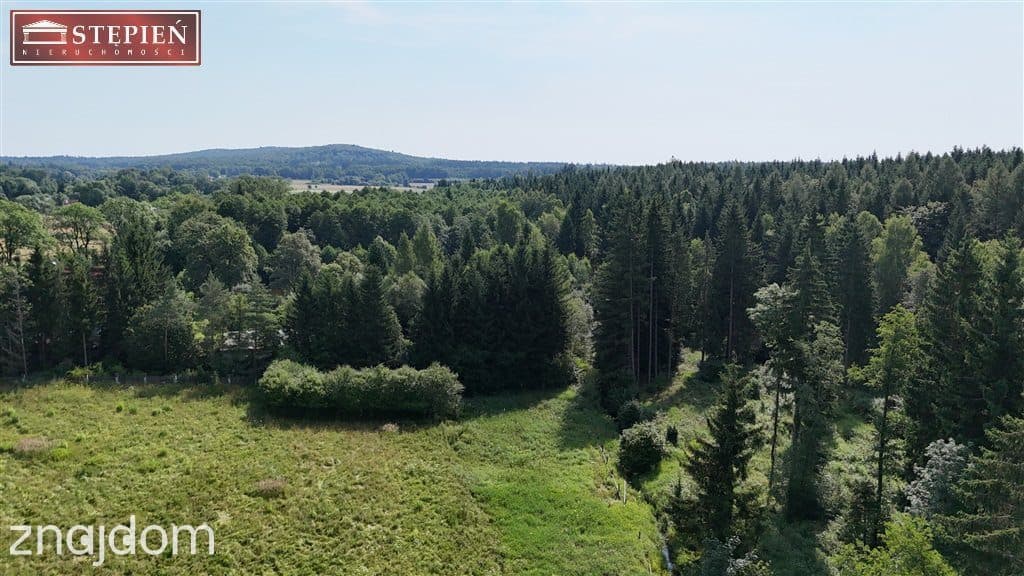 Działka pod Jaworem 80zł / 1mkw - zdjęcie 7