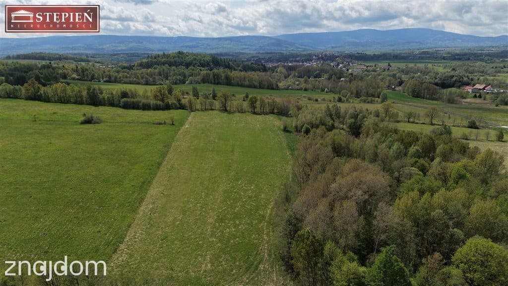 Atrakcyjna działka przy: Świeradów Zdrój - zdjęcie 2