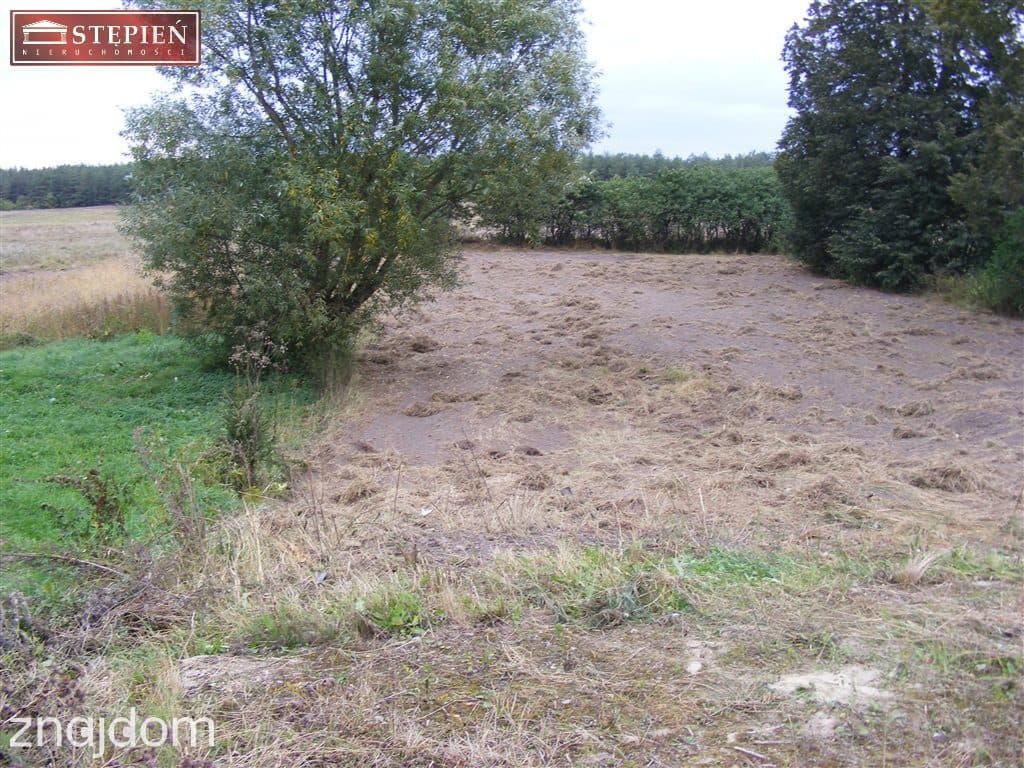 Działa blisko Jeziora Śniardwy - zdjęcie 3