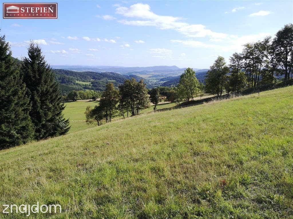 Działka z panoramicznym widokiem na góry - zdjęcie 6