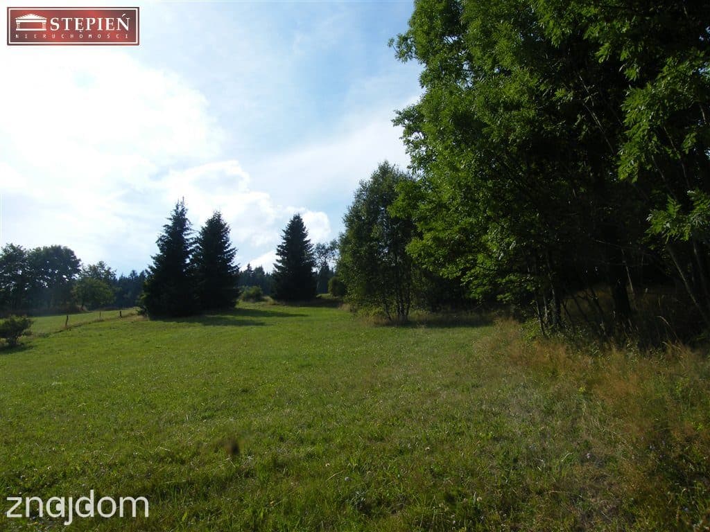 Działka z panoramicznym widokiem na góry - zdjęcie 7