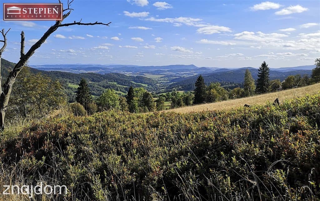Działka z panoramicznym widokiem na góry - zdjęcie 5