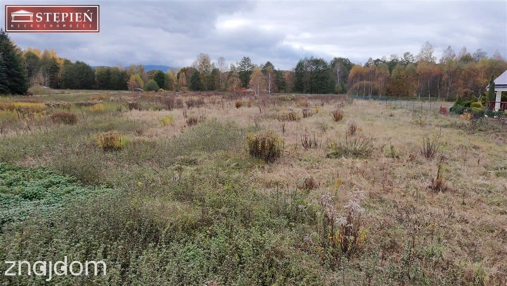 Oferta GS-28335 - zdjęcie 3