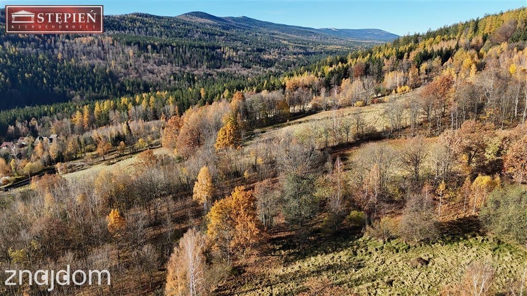 Rola z cudownym widokiem na całe pasmo Karkonoszy - zdjęcie 10
