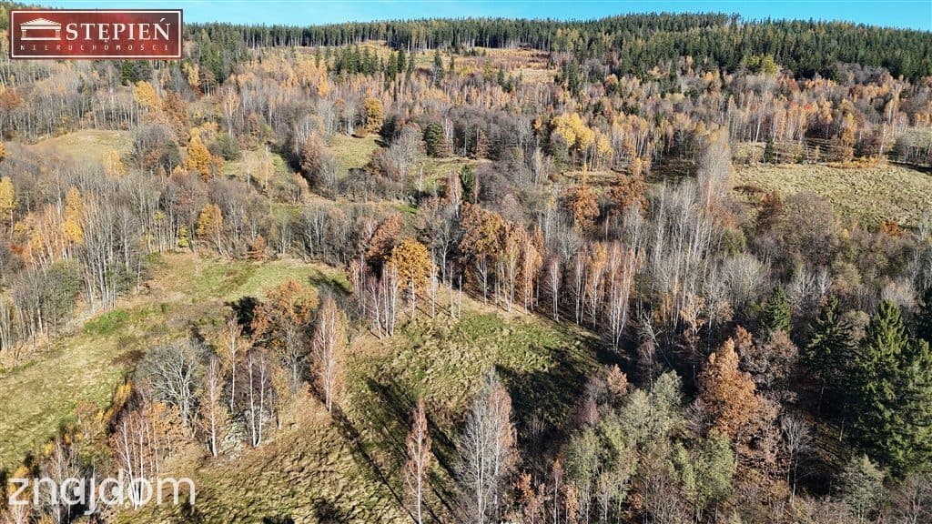 Rola z cudownym widokiem na całe pasmo Karkonoszy - zdjęcie 3