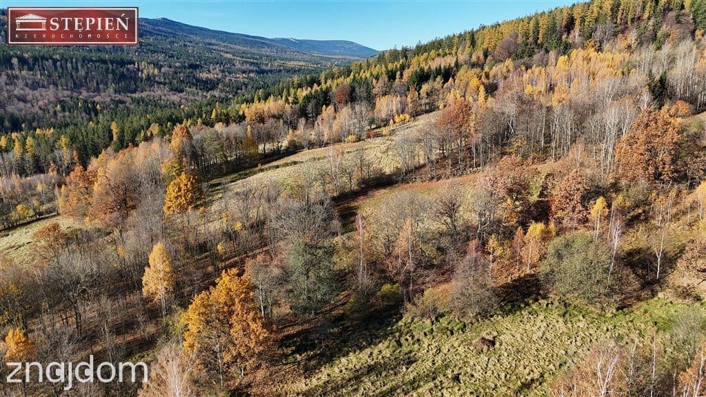 Rola z cudownym widokiem na całe pasmo Karkonoszy - zdjęcie 9