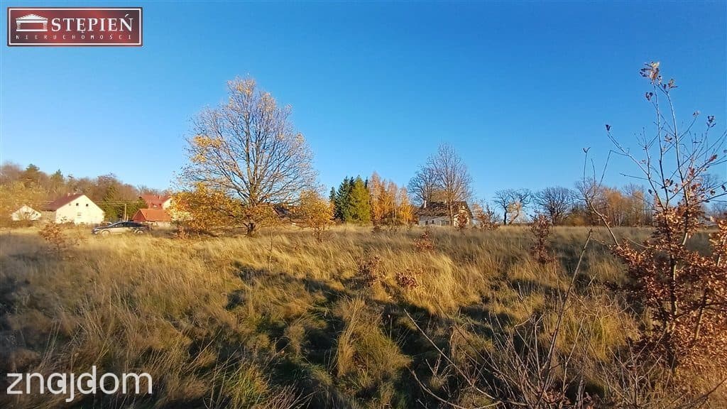 Urokliwa działka budowlana w Świeciu - zdjęcie 13