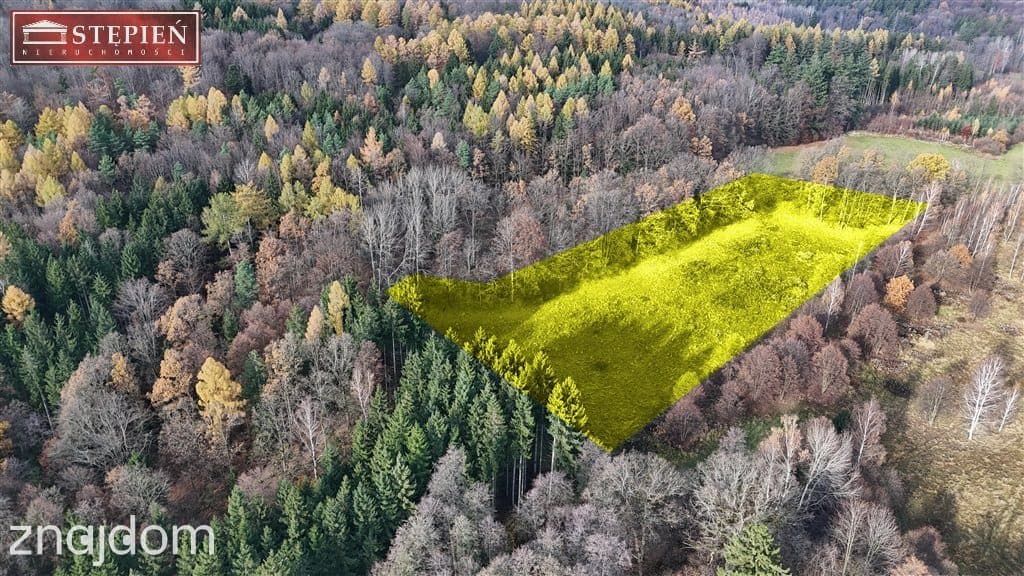 Działka budowlana – 1,11 ha | Staniszów - zdjęcie 11