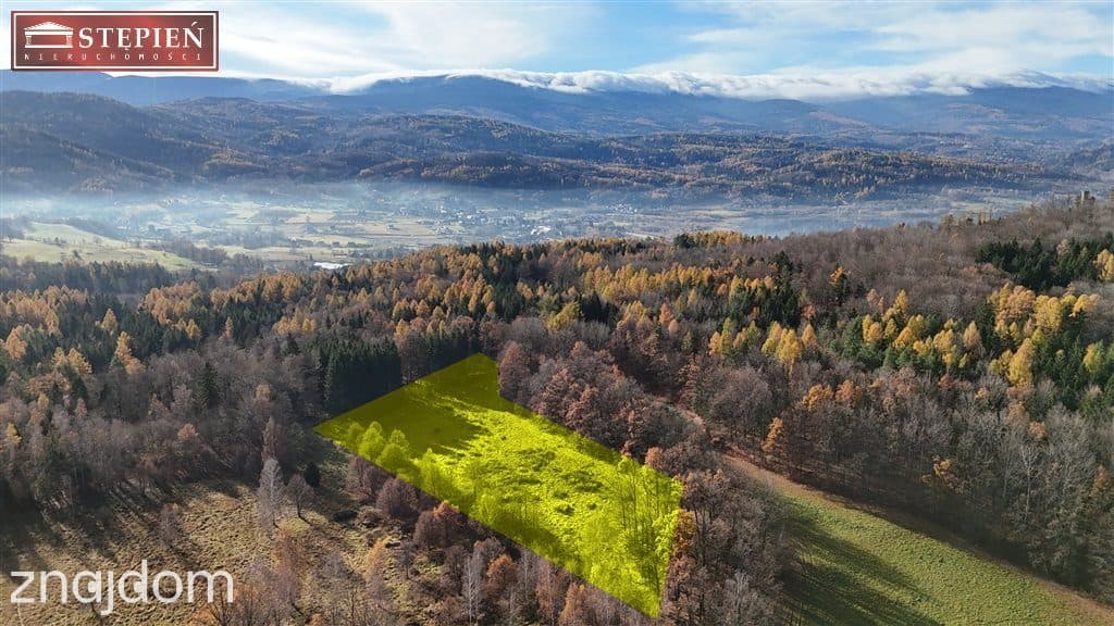 Działka budowlana – 1,11 ha | Staniszów - zdjęcie 2