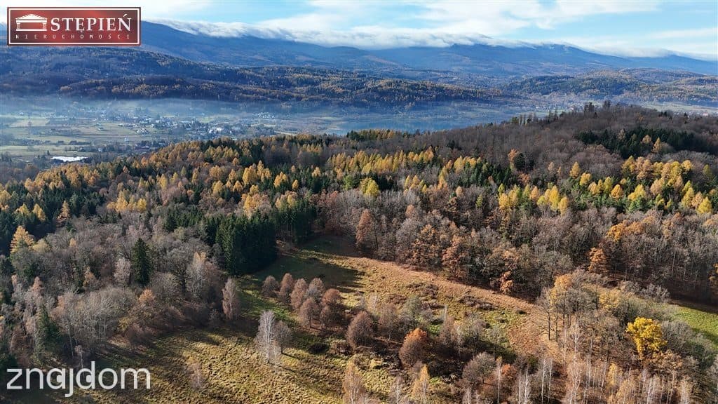 Działka budowlana – 1,11 ha | Staniszów - zdjęcie 3
