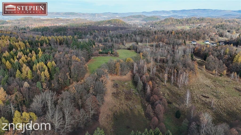 Działka budowlana – 1,11 ha | Staniszów - zdjęcie 4