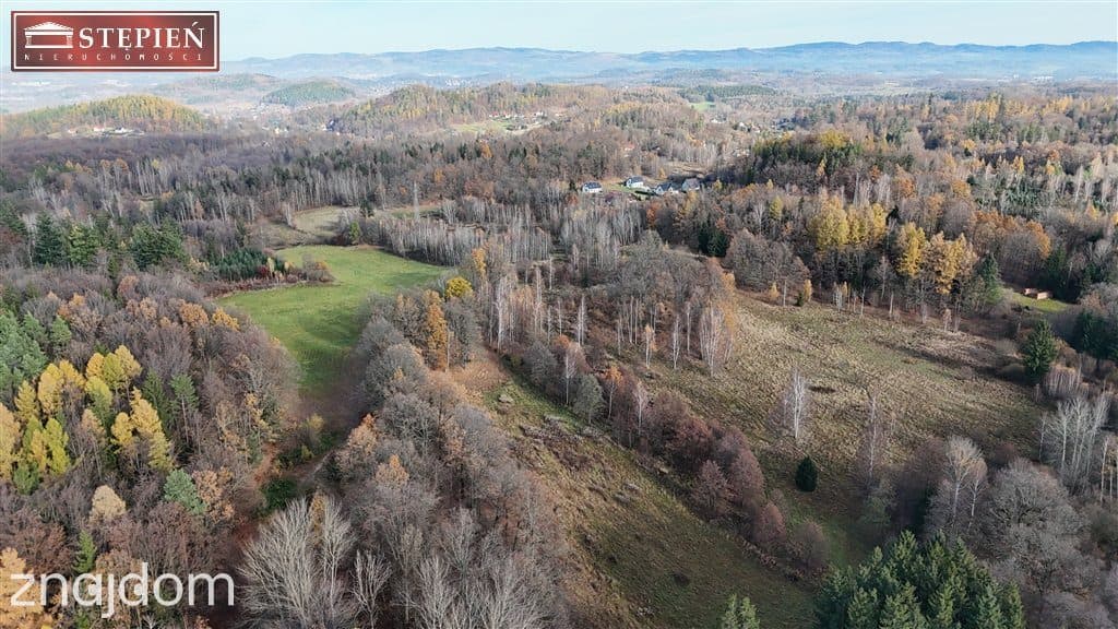 Działka budowlana – 1,11 ha | Staniszów - zdjęcie 5