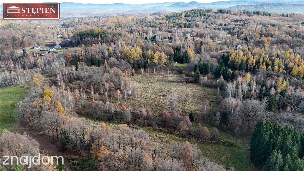 Działka budowlana – 1,11 ha | Staniszów - zdjęcie 6