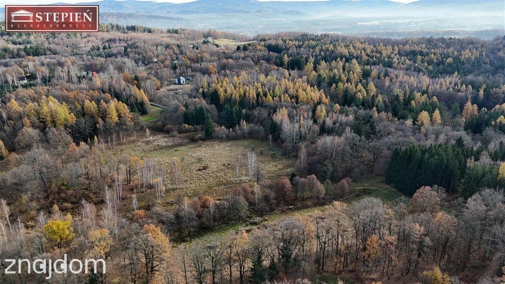 Działka budowlana – 1,11 ha | Staniszów - zdjęcie 7