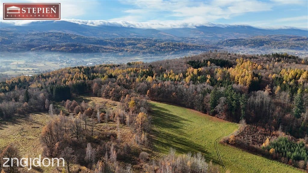 Działka budowlana – 1,11 ha | Staniszów - zdjęcie 8