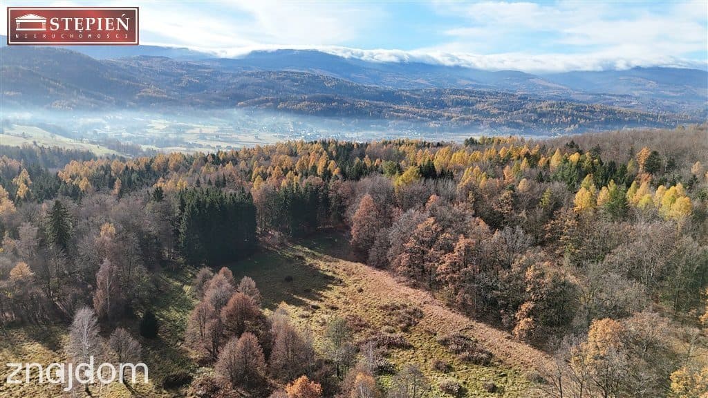 Działka budowlana – 1,11 ha | Staniszów - zdjęcie 9