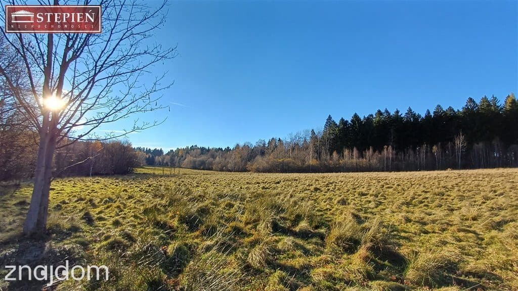 Działka budowla w pięknej lokalizacji - zdjęcie 8