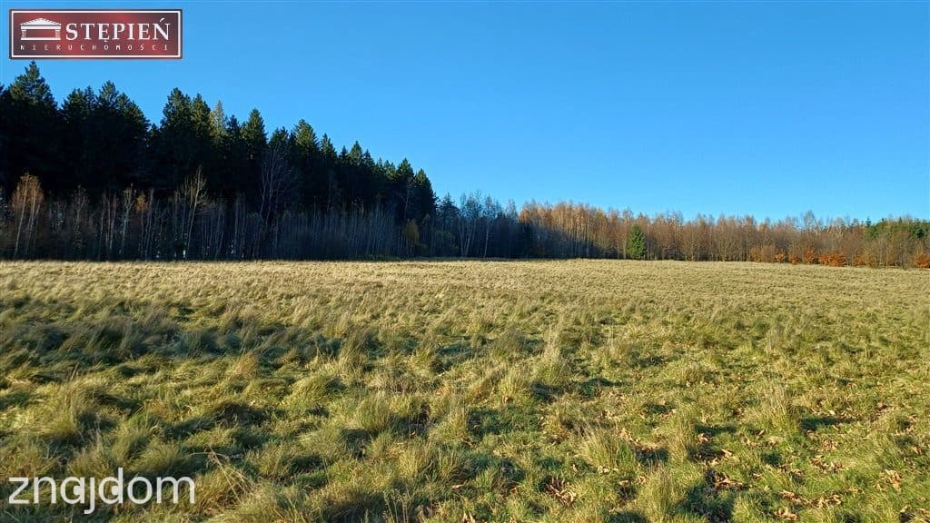 Działka budowla w pięknej lokalizacji - zdjęcie 9