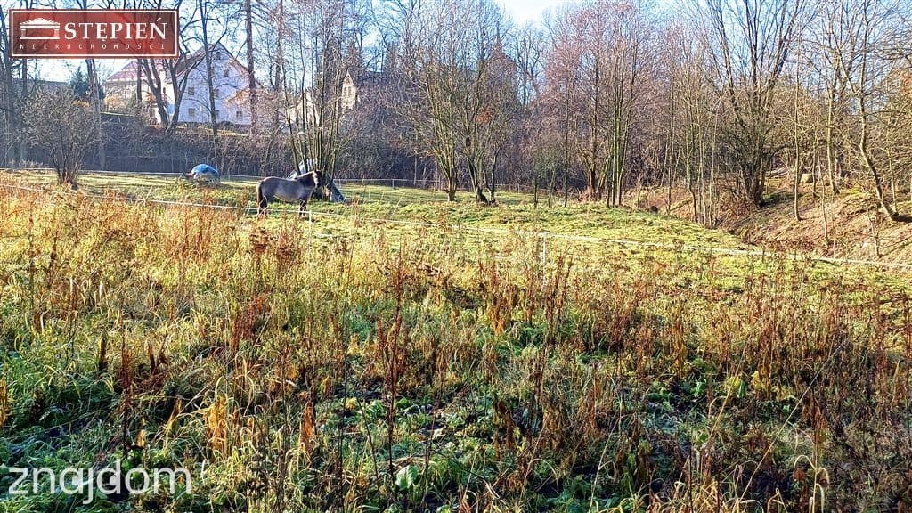 Działka w Rudawach Janowickich - zdjęcie 7