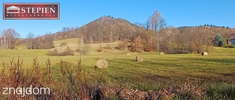 Działka w Rudawach Janowickich - zdjęcie 9