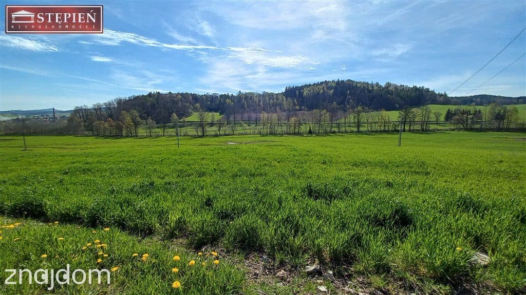 Działka widokowa w Rudawach Janowickich - zdjęcie 7
