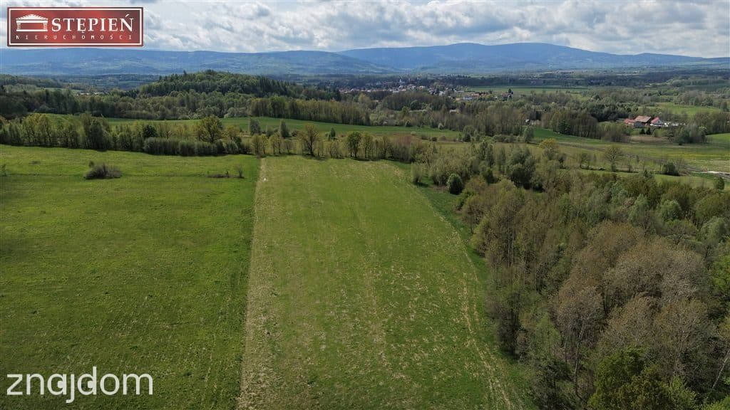 Atrakcyjna działka przy: Świeradów Zdrój - zdjęcie 13