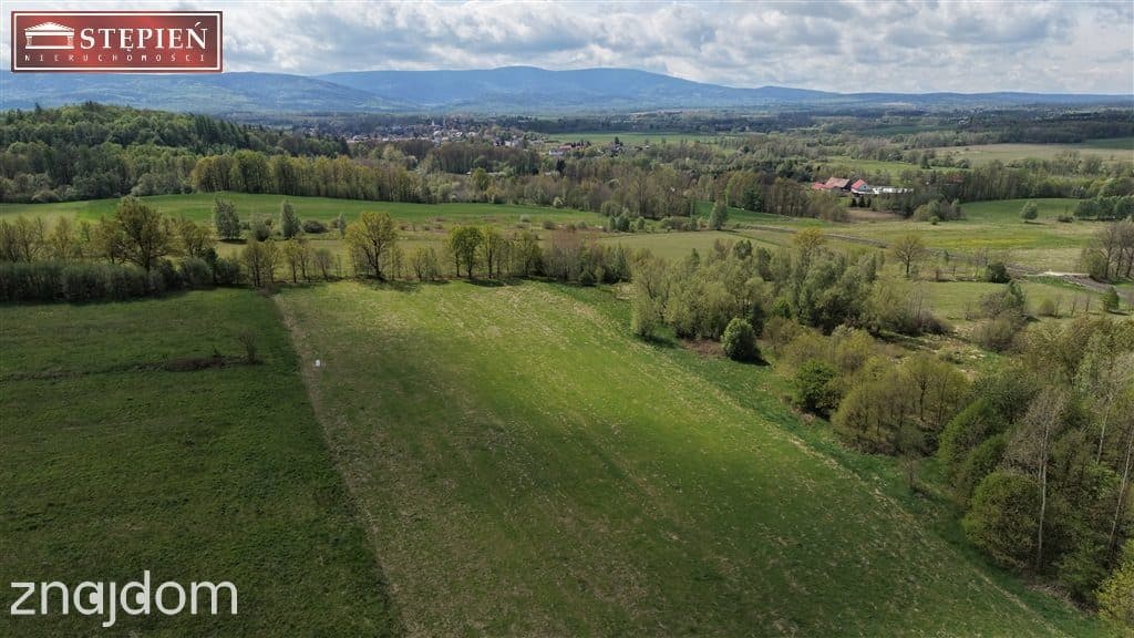 Atrakcyjna działka przy: Świeradów Zdrój - zdjęcie 3
