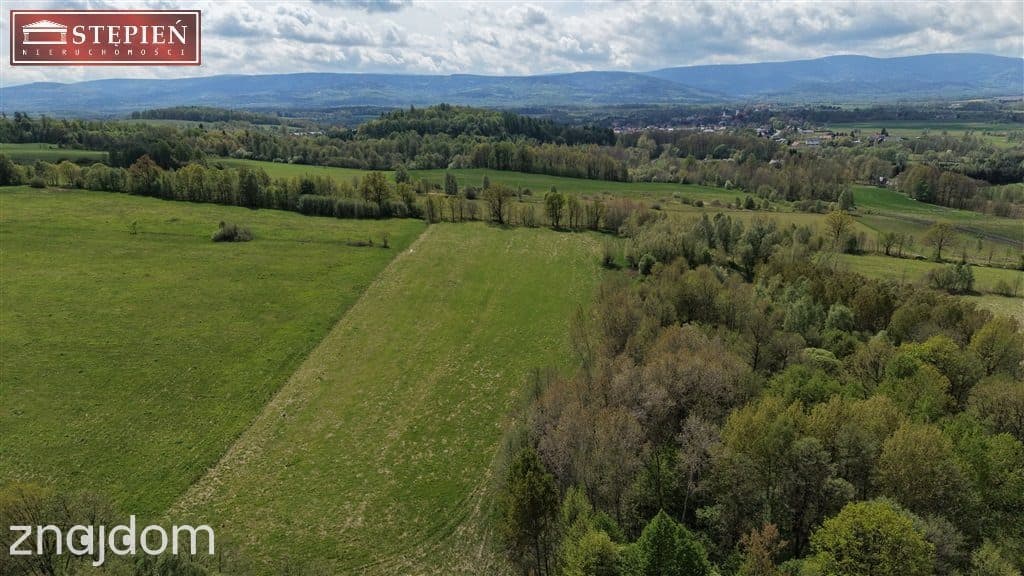 Atrakcyjna działka przy: Świeradów Zdrój - zdjęcie 5