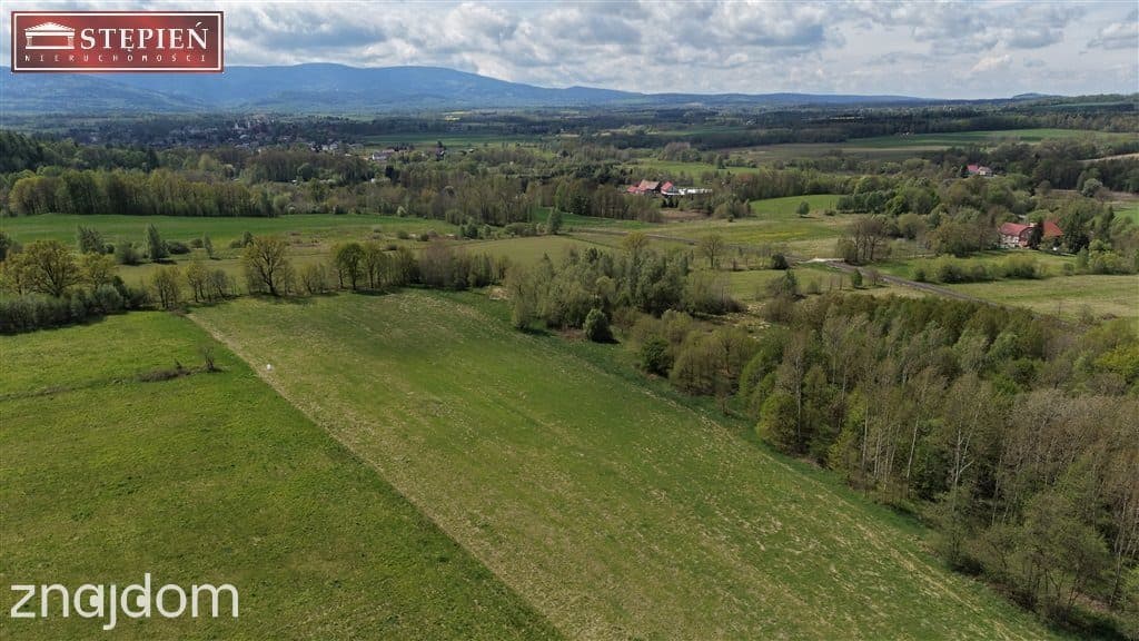Atrakcyjna działka przy: Świeradów Zdrój - zdjęcie 4