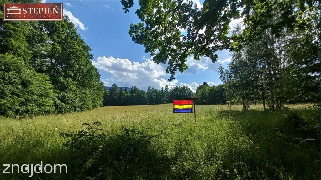 Unikalna działka budowlana w sąsiedztwie Karpacza - zdjęcie 9