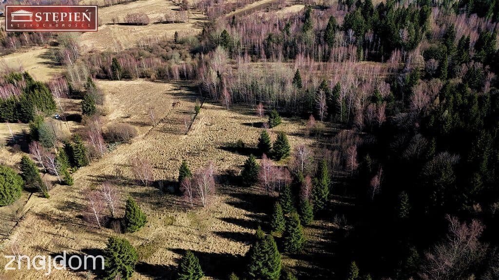 Działka Rolna - zdjęcie 2