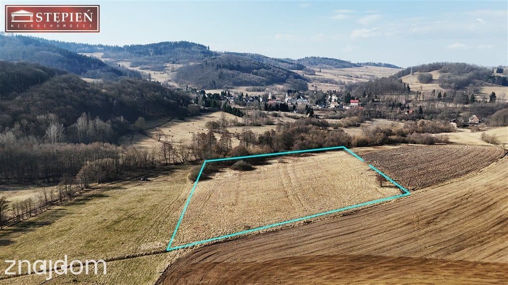 PAKIET INWESTYCYJNY: 2,95ha Kaczorów - zdjęcie 2