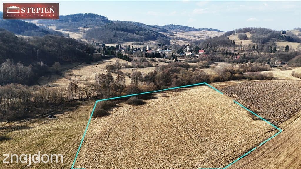 PAKIET INWESTYCYJNY: 2,95ha Kaczorów - zdjęcie 3