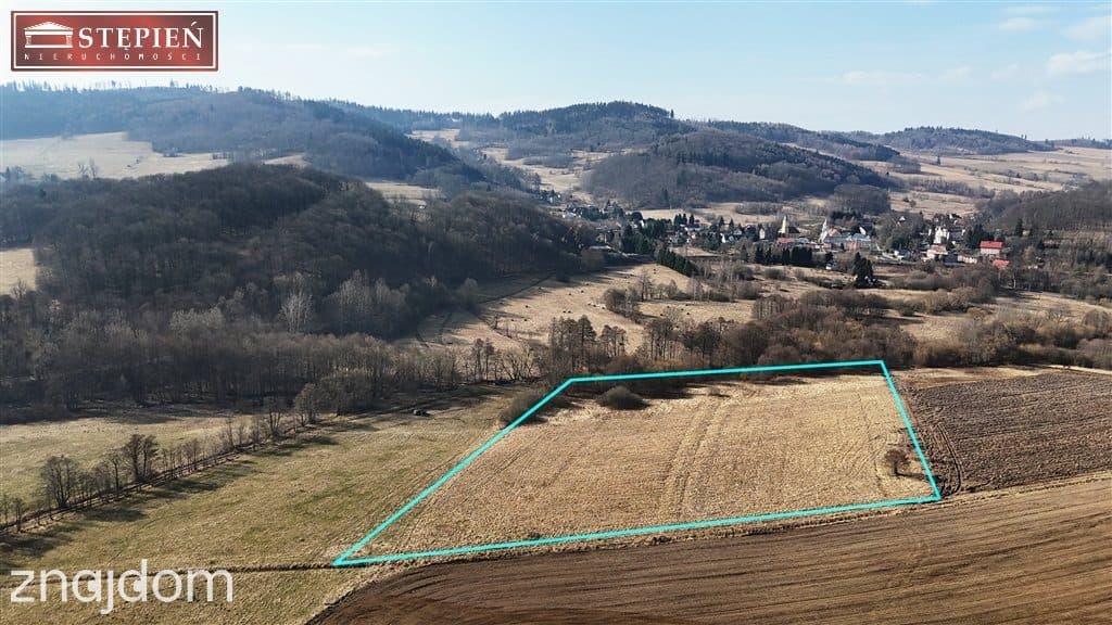 PAKIET INWESTYCYJNY: 2,95ha Kaczorów - zdjęcie 4
