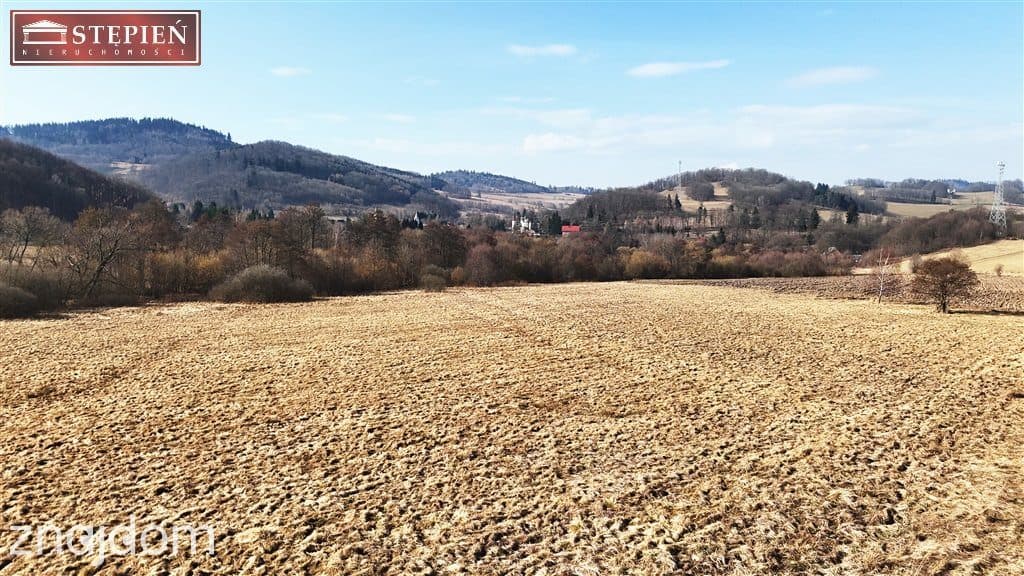 PAKIET INWESTYCYJNY: 2,95ha Kaczorów - zdjęcie 8