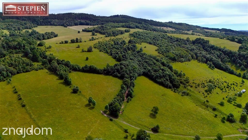 Działka rolna 1,58 ha - zdjęcie 11