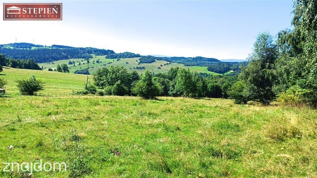 Działka rolna 1,58 ha - zdjęcie 2