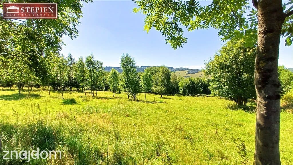 Działka rolna 1,58 ha - zdjęcie 3