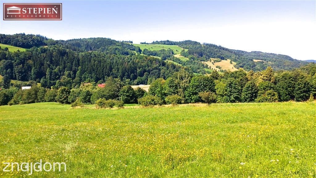 Działka rolna 1,58 ha - zdjęcie 4