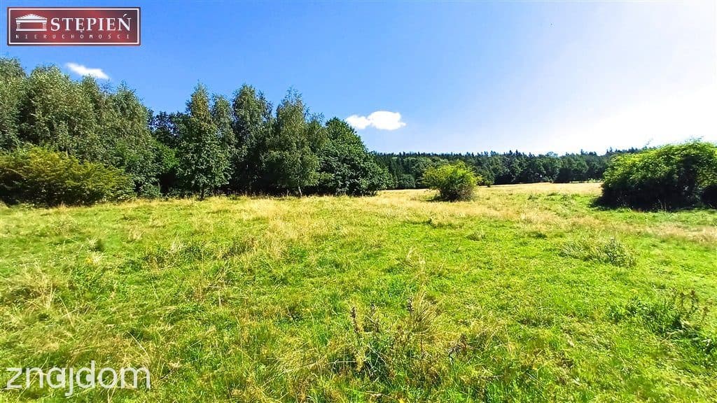 Działka rolna 1,58 ha - zdjęcie 5