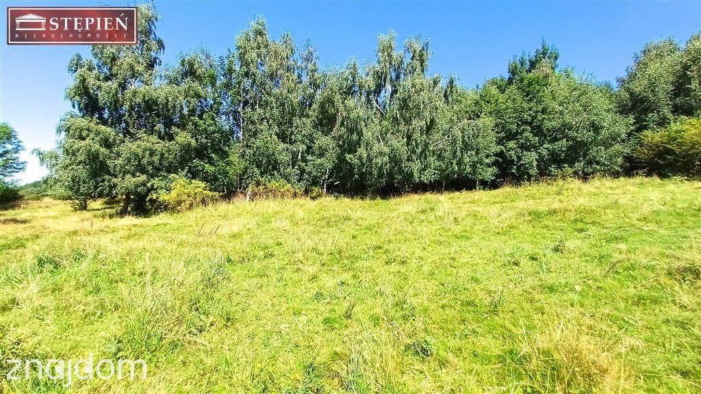 Działka rolna 1,58 ha - zdjęcie 6