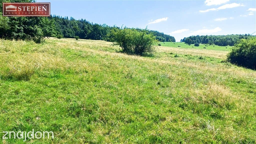 Działka rolna 1,58 ha - zdjęcie 7