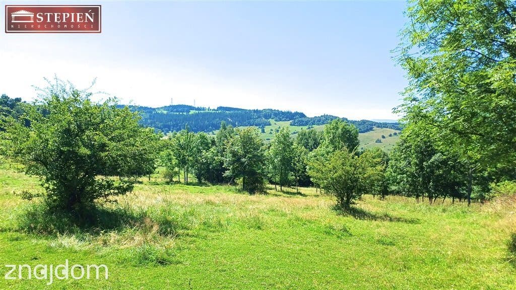 Działka rolna 1,58 ha - zdjęcie 8