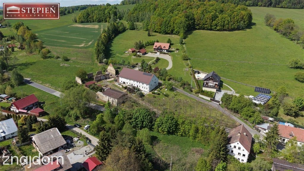 Działka ze strumykiem 1600 m² - Wojcieszyce - zdjęcie 16