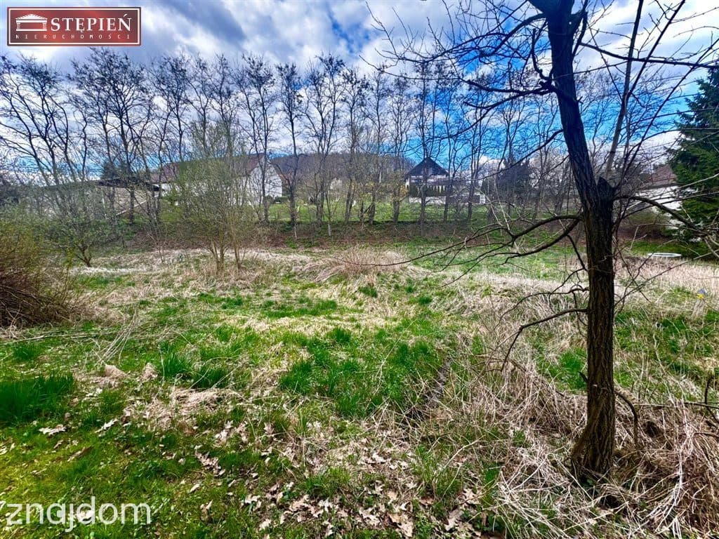Działka ze strumykiem 1600 m² - Wojcieszyce - zdjęcie 3