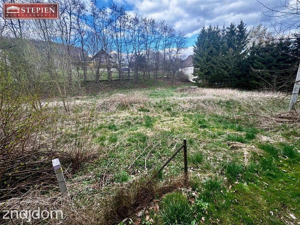 Działka ze strumykiem 1600 m² - Wojcieszyce - zdjęcie 4