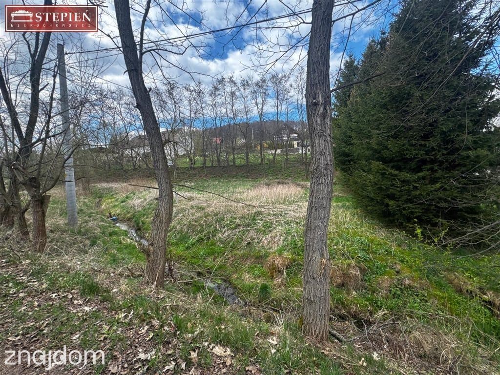 Działka ze strumykiem 1600 m² - Wojcieszyce - zdjęcie 5